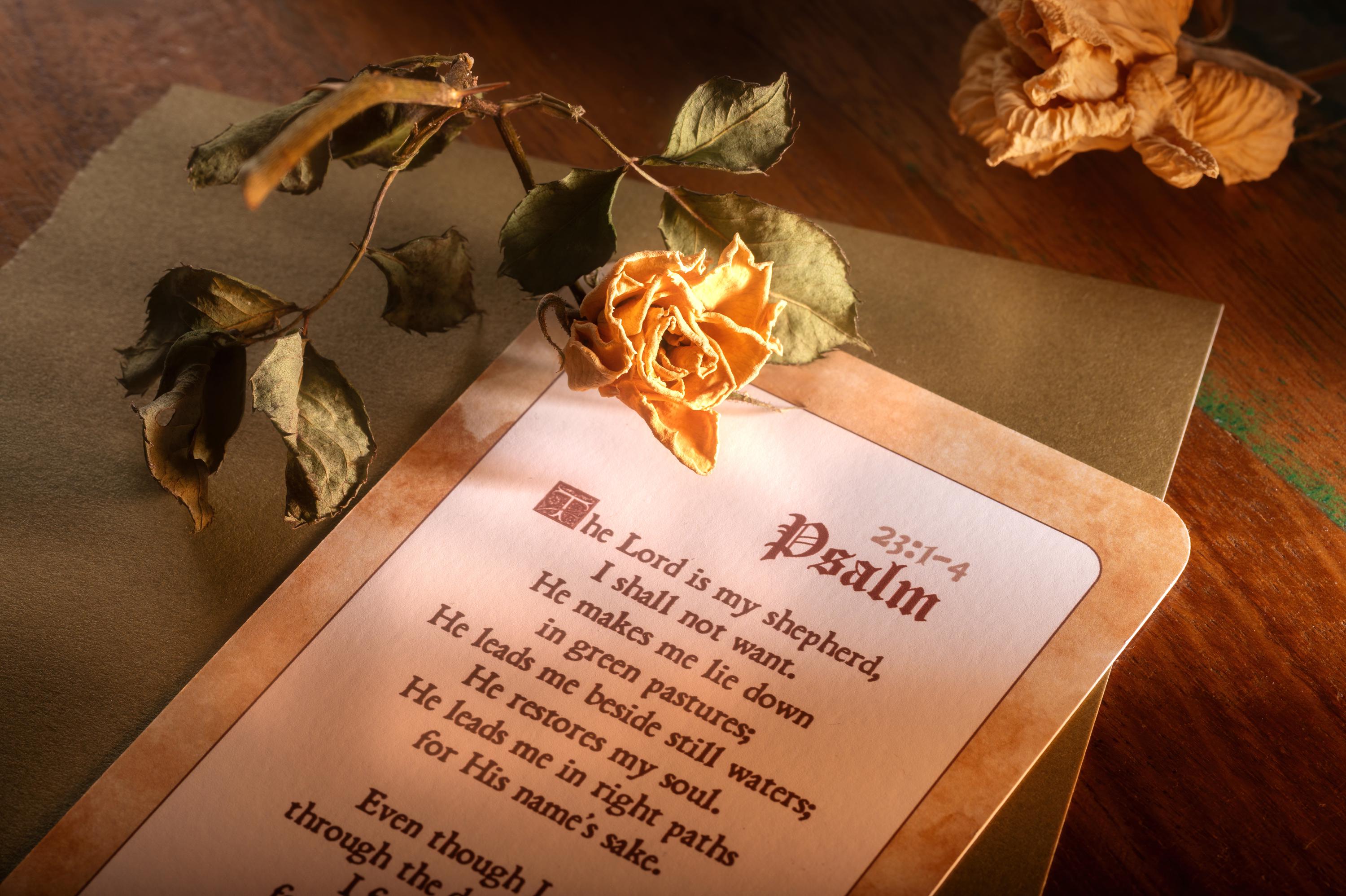 Psalm 23 (8x12.8cm) Devotional Prayer Card